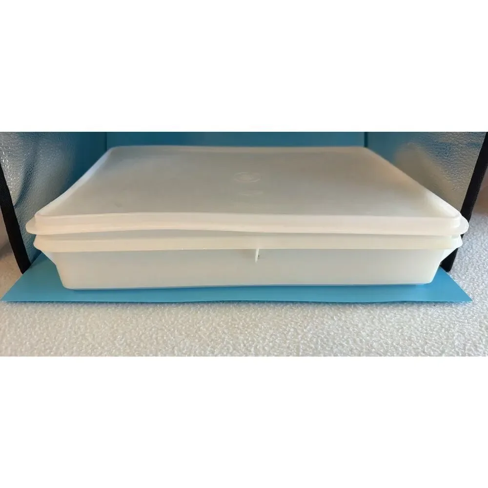 Tupperware 4-Piece Rectangular Plastic Containers Snap Lids White/Blue